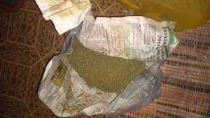 В Павловском районе на скамью подсудимых отправлен мужчина, изготавливавший марихуану из дикорастущей конопли
